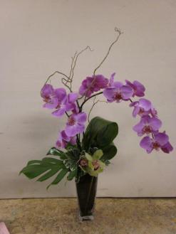Santa Monica Flowers Curved Orchids