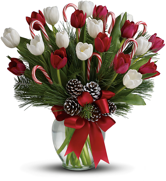 By Golly, It\'s Jolly