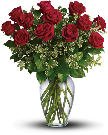 12 Long Stemmed Premium Roses