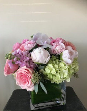 SANTA MONICA FLOWERS G123