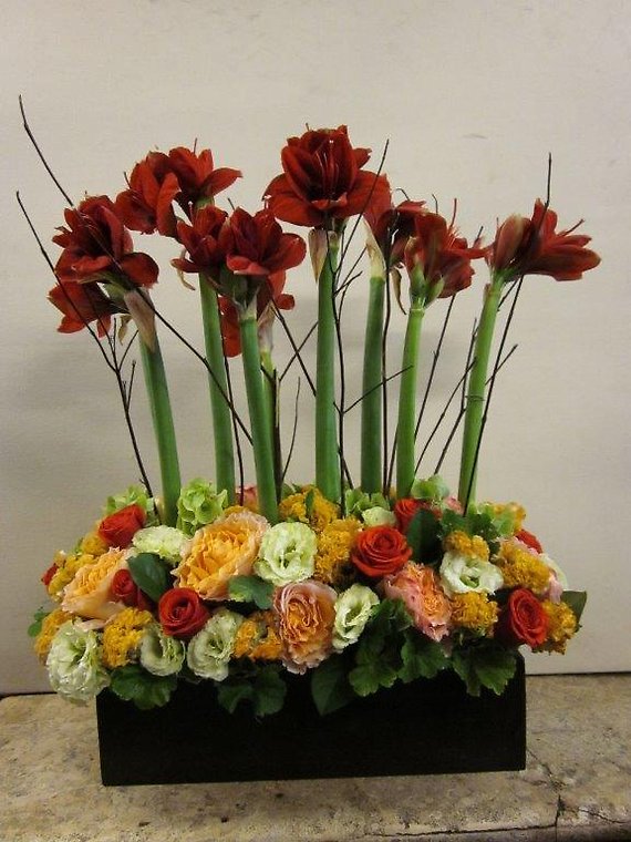 Ann\'s Flowers Amarillys Heaven