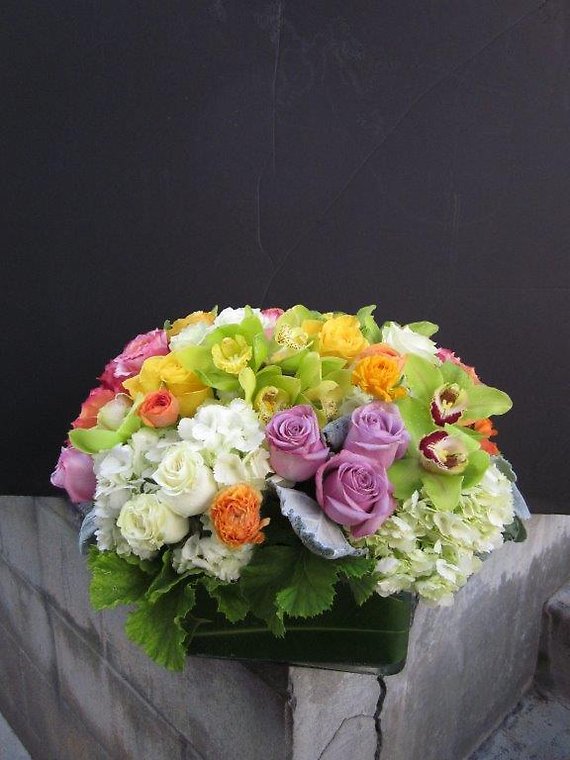 Ann\'s Flowers Lush and Lovely
