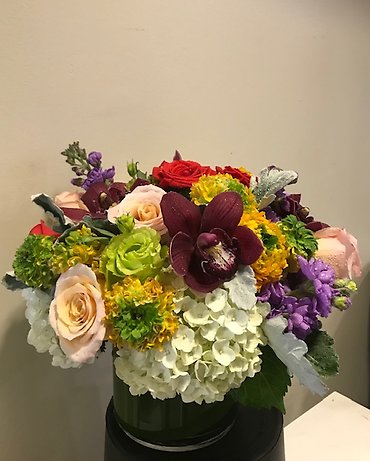 Santa Monica Flowers Albertine