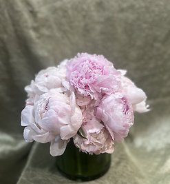 G1548