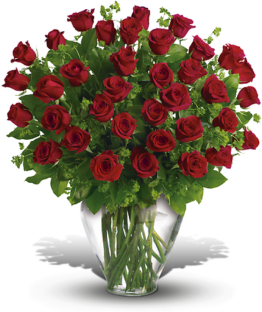 My Perfect Love - 2 Dozen Long Stemmed Premium Red Roses