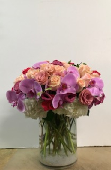 Ann\'s Flowers Camelia