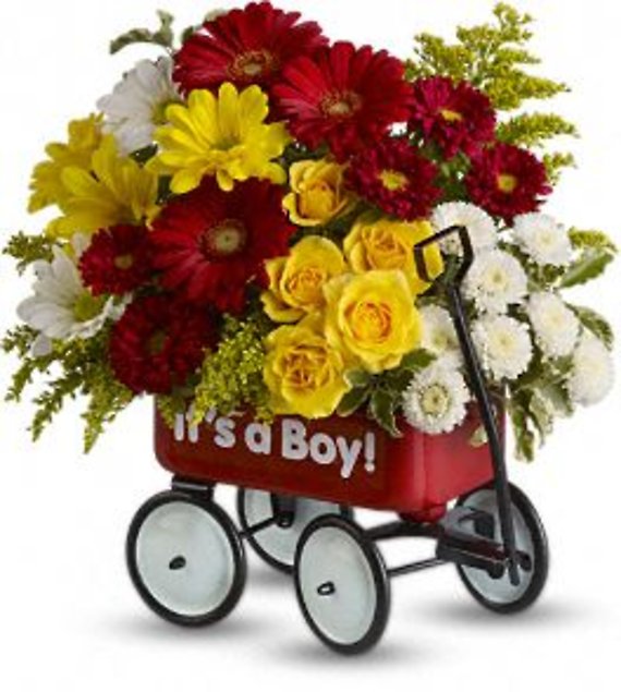 Baby\'s Wow Wagon