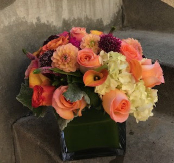 SANTA MONICA FLOWERS G120