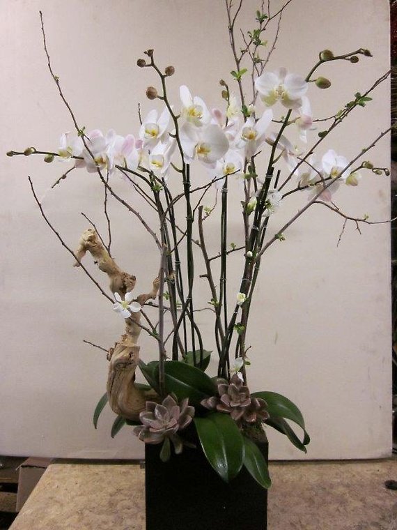 Santa Monica Flowers Chic box of white orchids