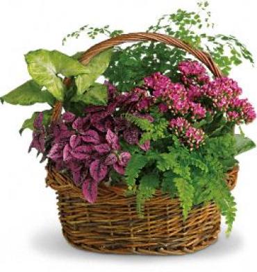 Secret Garden Basket