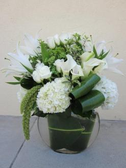 Ann\'s Flowers Impressive Whites
