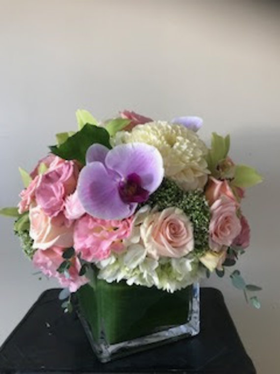 SANTA MONICA FLOWERS G113
