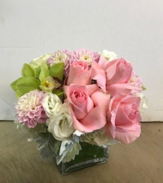 Santa Monica Flowers Pearl
