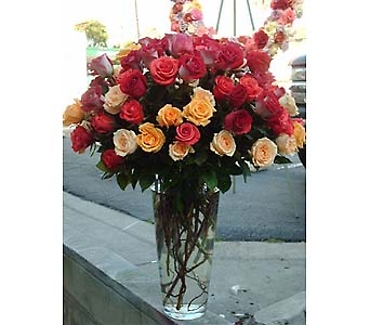 world of roses