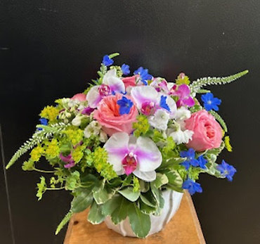 SANTA MONICA FLOWERS G148