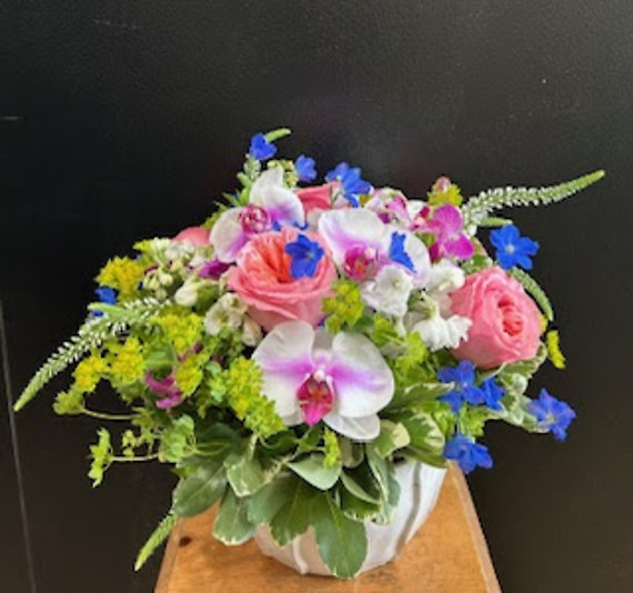 SANTA MONICA FLOWERS G148