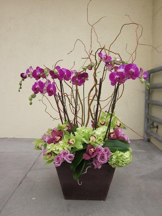 Santa Monica Flowers Bountiful Orchids