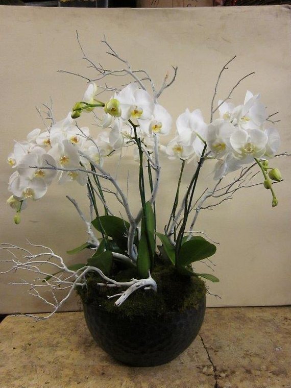 Santa Monica Flowers White Dancing Orchids