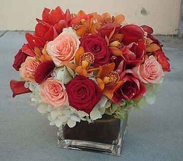 Rust Calla\'s