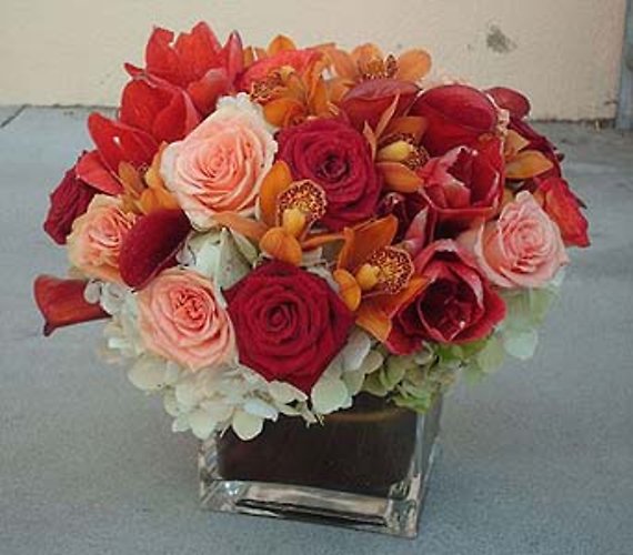 Rust Calla\'s