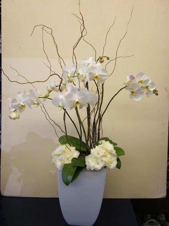 Santa Monica Flowers Orchids and Hydrangeas
