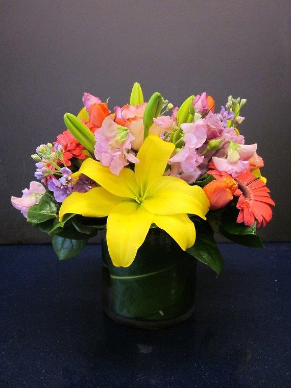 Ann\'s Flowers 101