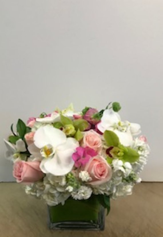 Ann\'s Flowers Ferrara