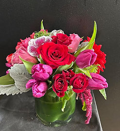 G0323