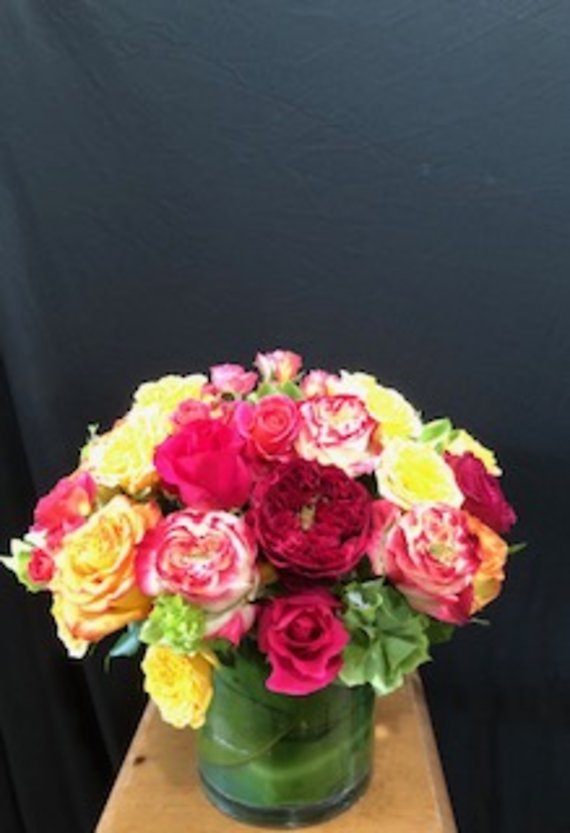 Santa Monica Flowers Caledonia