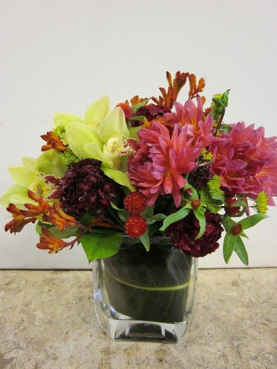 Ann\'s Flowers Scorpio