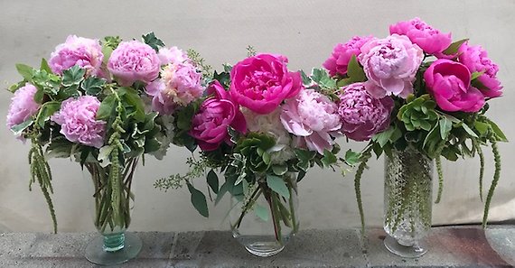 Santa Monica Flowers Peony Trio