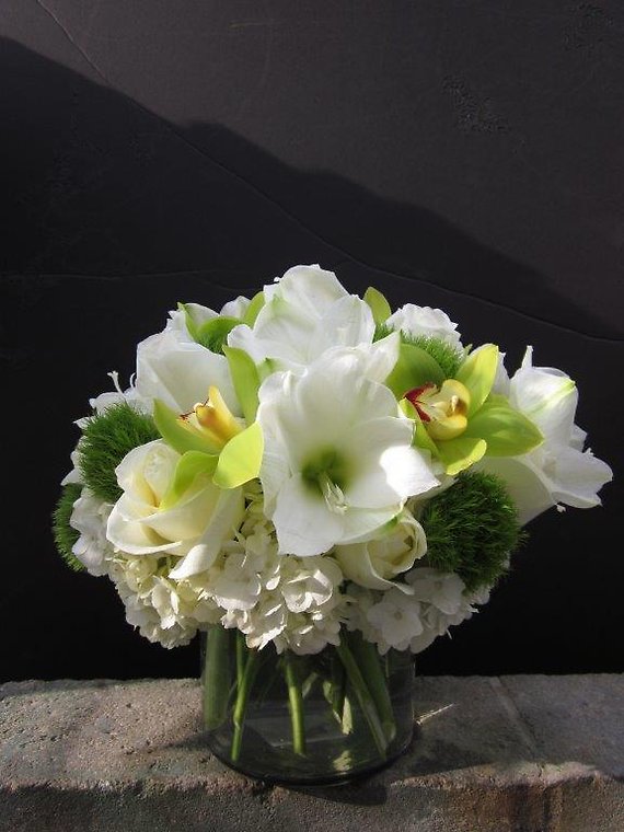 Ann\'s Flowers Amarillys and Orchids