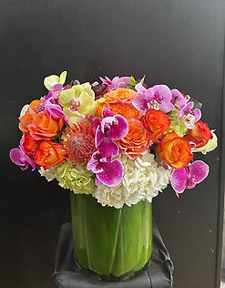 G0322