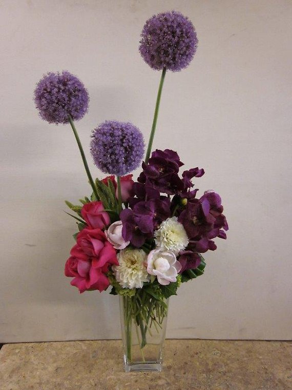 Ann\'s Flowers Giant Aliums