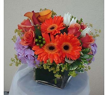 Signature Flowers