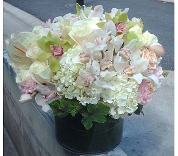 Santa monica blooms