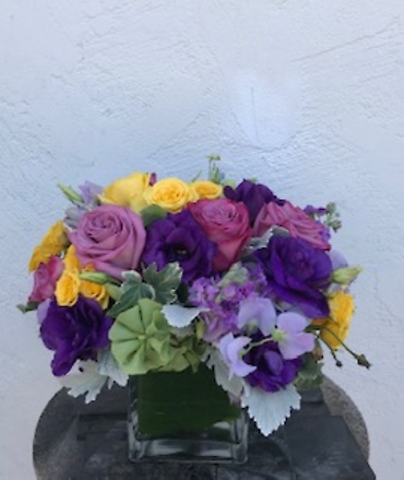 Ann\'s Flowers Arezzo
