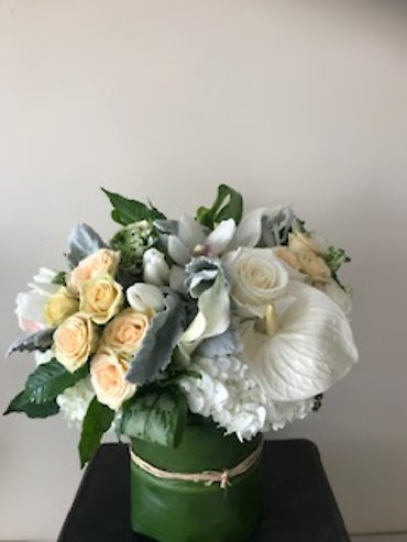 SANTA MONICA FLOWERS G116
