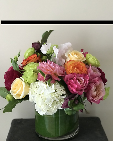 Ann\'s Flowers Nikita