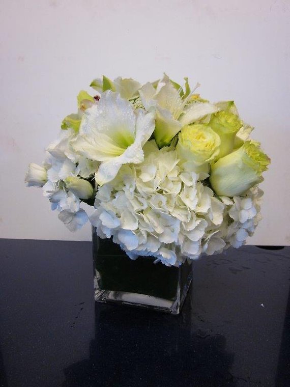 Santa Monica Flowers White Song
