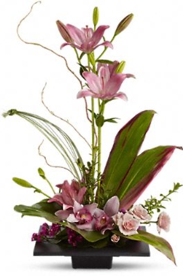 Imagination Blooms with Cymbidium Orchids