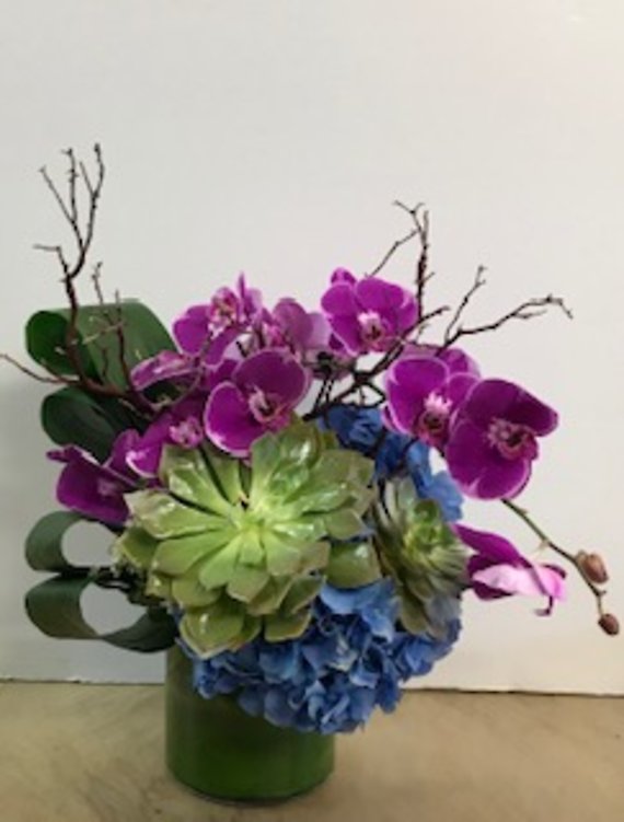 Ann\'s Flowers Rimini