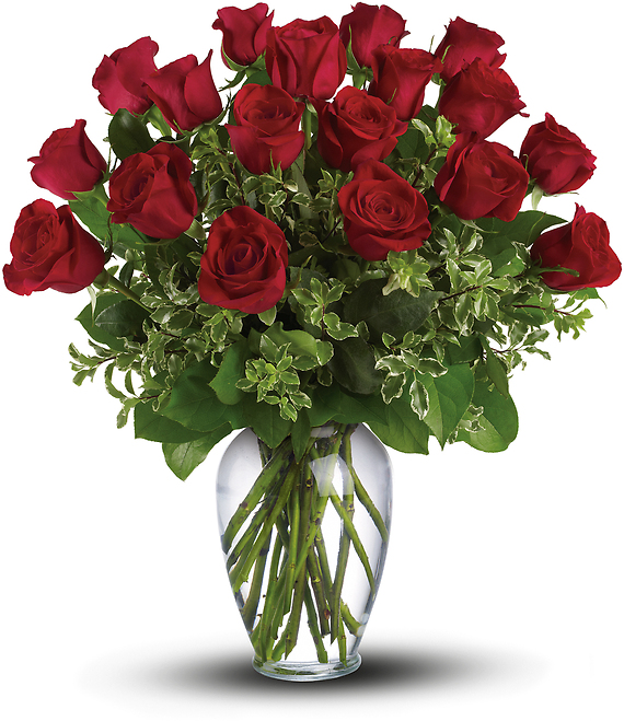 12 Long Stemmed Premium Roses