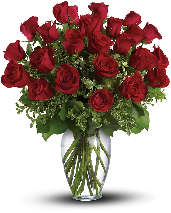 12 Long Stemmed Premium Roses