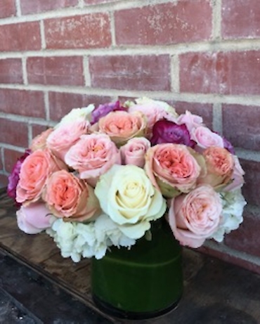 Santa Monica Flowers Garden Roses