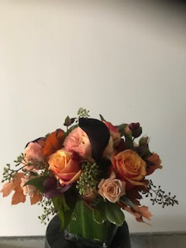 SANTA MONICA FLOWERS G121
