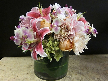 Ann\'s Flowers Pretty Blooms