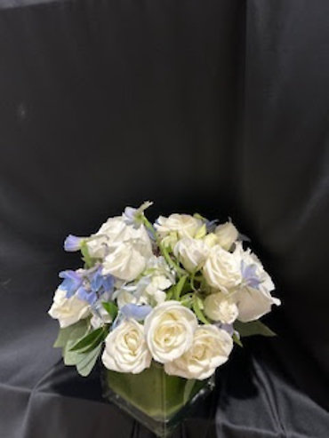 SANTA MONICA FLOWERS G144