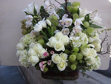 Santa Monica Flowers White Fantasy