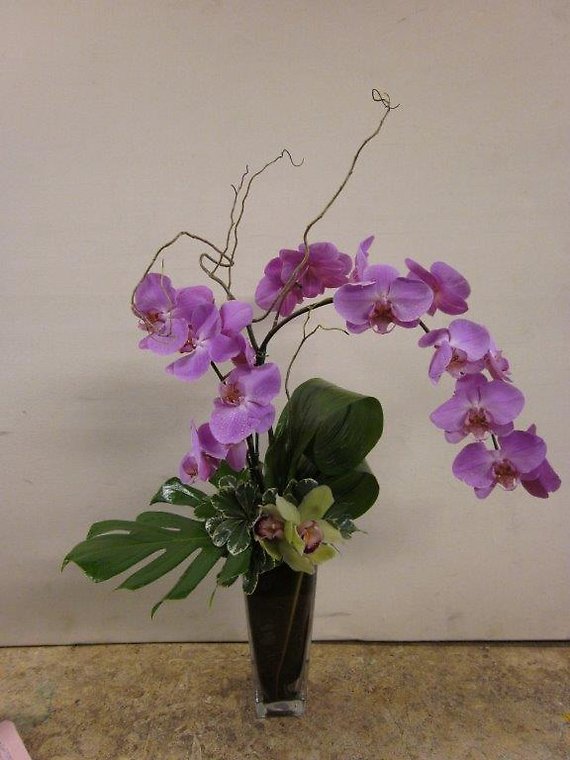 Santa Monica Flowers Curved Orchids